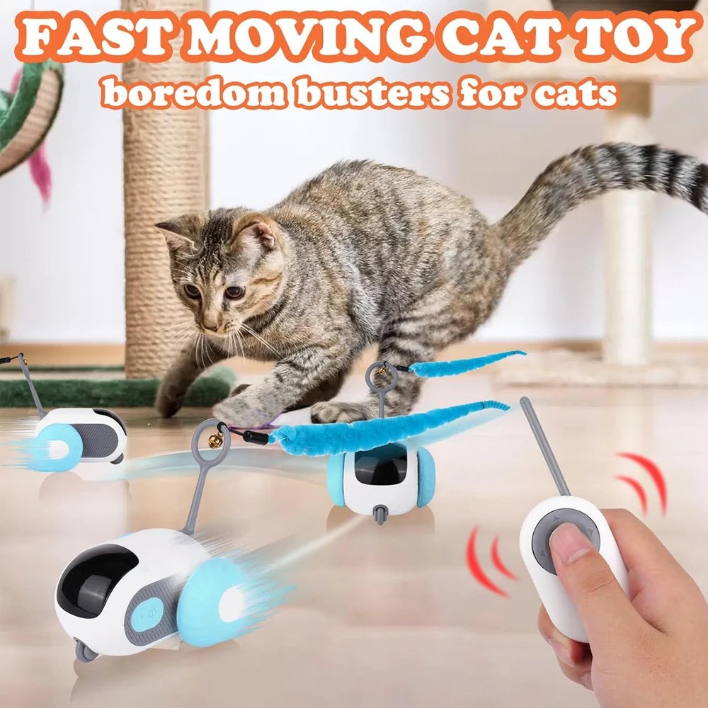 Smart Cat Toy Car โ Interactive Play